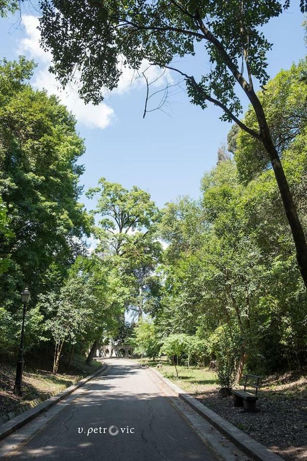 Corfu  Cherry Apartment Corfu מראה חיצוני תמונה